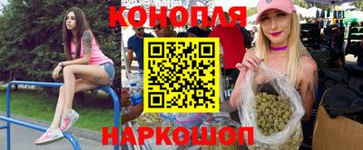 дмт Краснодар