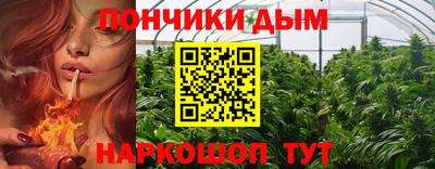 дмт Краснодар