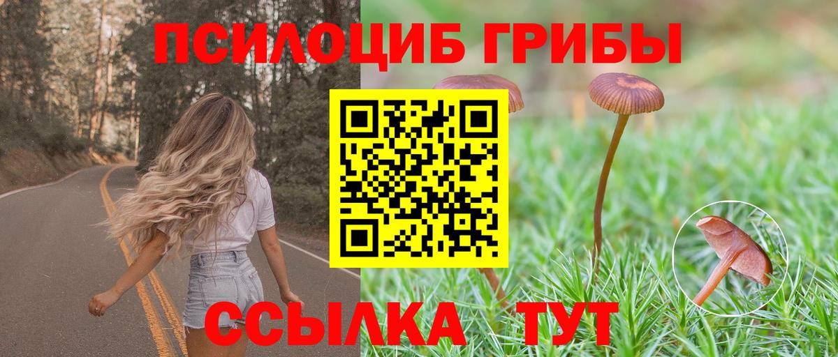 Псилоцибиновые грибы Magic Shrooms  Галлюциногенные грибы мухоморы  купить  цена  Кириши  Вход с VPN 
